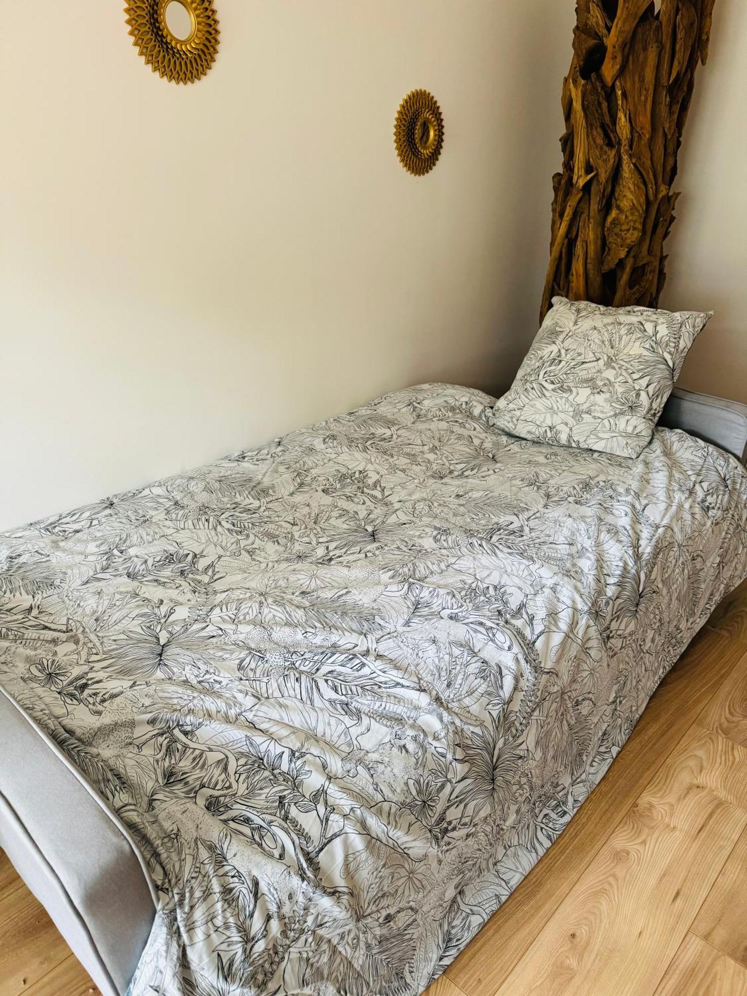 Bel Appartement Proche Parc & Lac レンヌ エクステリア 写真